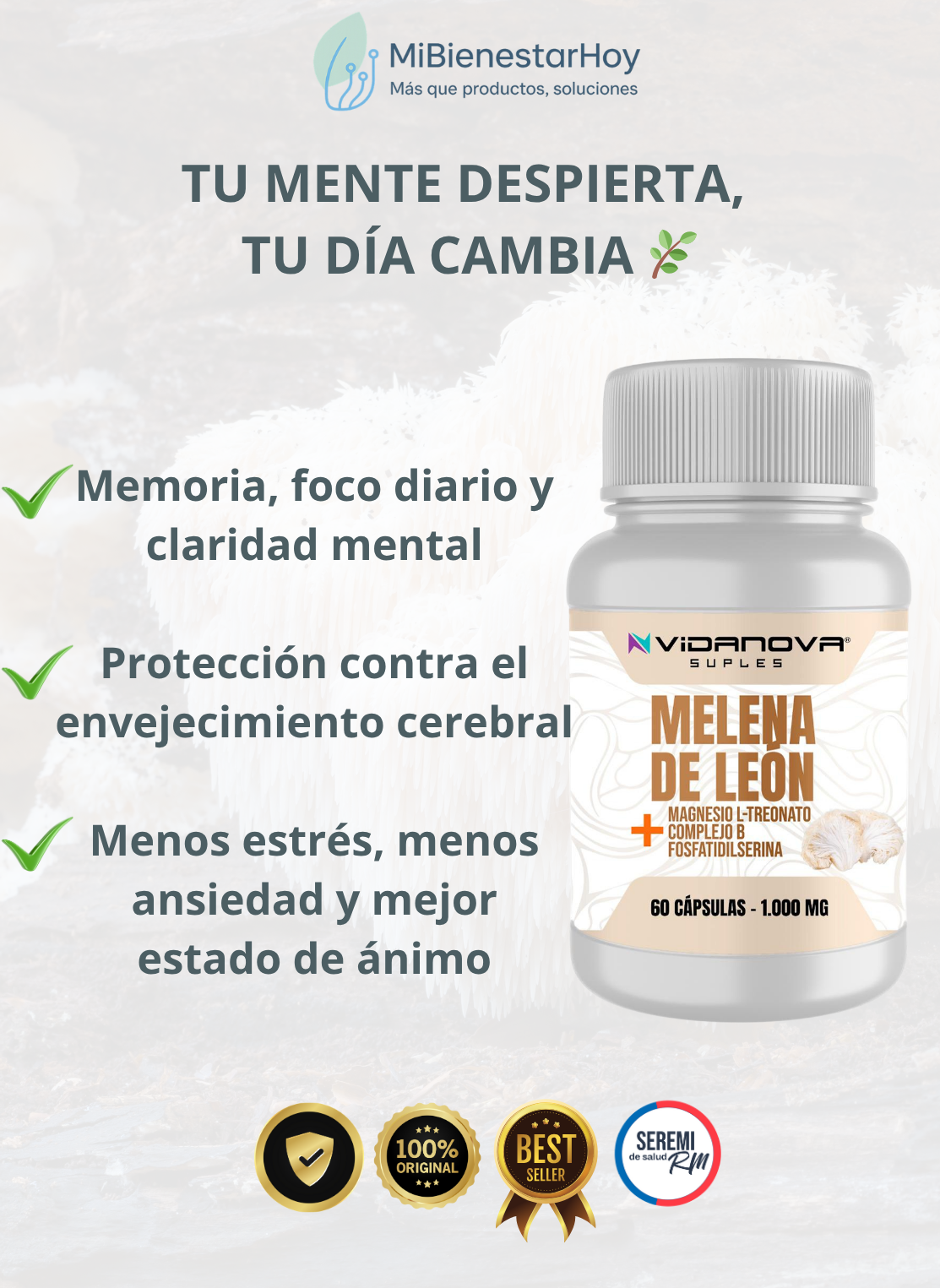 Melena de León Fortificada | Activa tu mente. Protege tu cerebro.