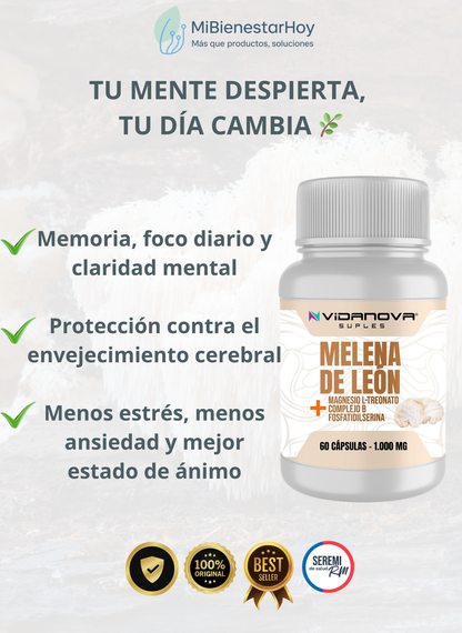 Melena de León Fortificada | Activa tu mente. Protege tu cerebro.