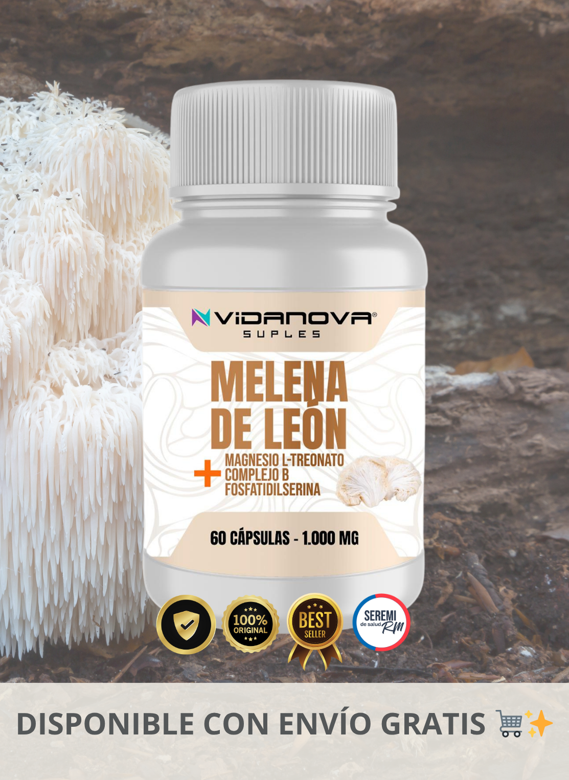 Melena de León Fortificada | Activa tu mente. Protege tu cerebro.