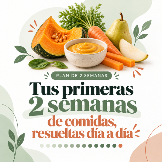 Alimentación Complementaria: Guía de los Primeros 14 Días de tu Bebé + 4 Bonos de Regalo  🎁
